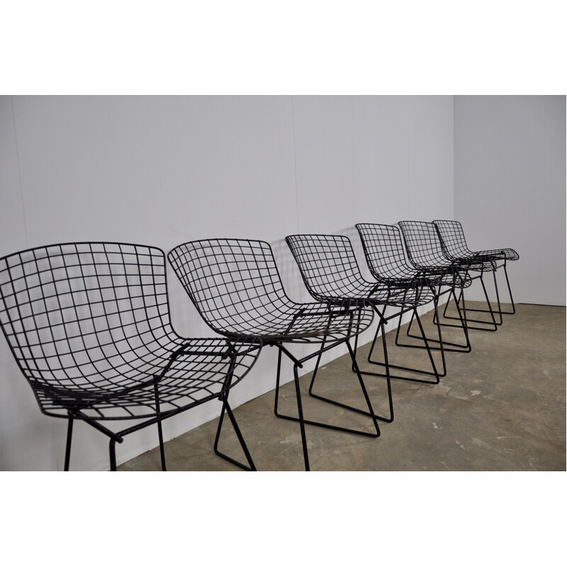 Set of 6 vintage chairs by Harry Bertoia for Knoll 1960