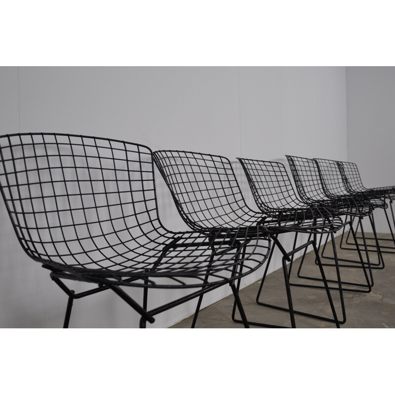 Suite de 6 chaises vintage par Harry Bertoia pour Knoll 1960 