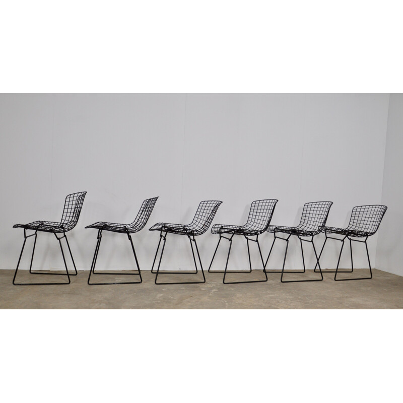 Set of 6 vintage chairs by Harry Bertoia for Knoll 1960