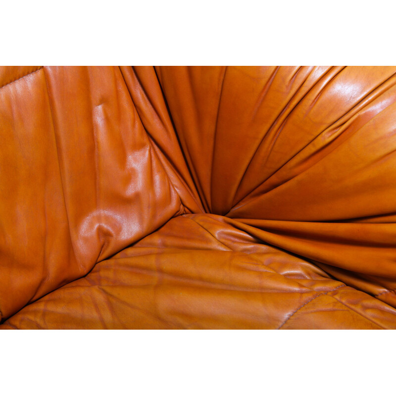 Set of 2 vintage cognac leather lounge chairs by De Pas, D'urbino & Lomazzi