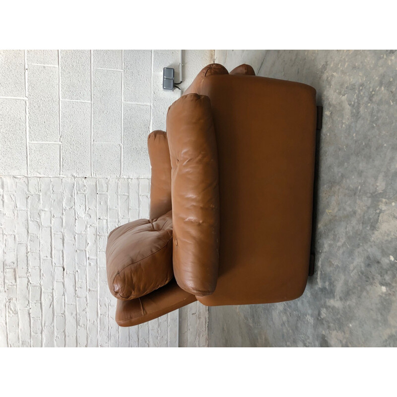 Vintage living room set sofa and armchair Coronado by Afra and Tobia Scarpa for B&B Italia