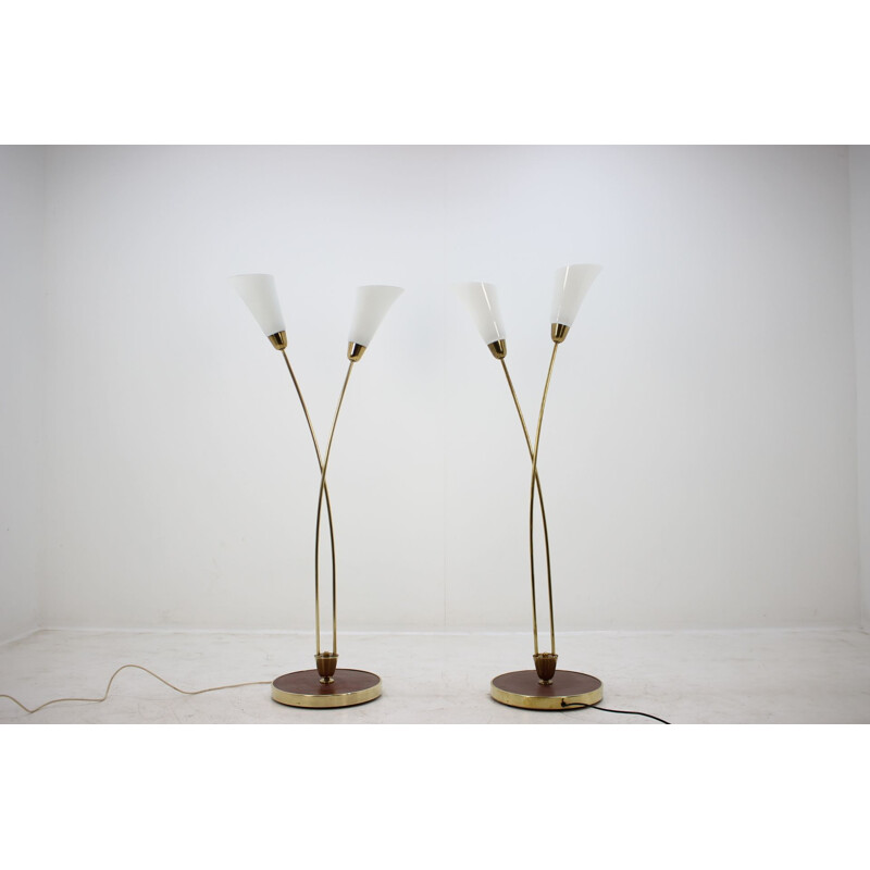 Paire de lampadaires vintage en acier et verre