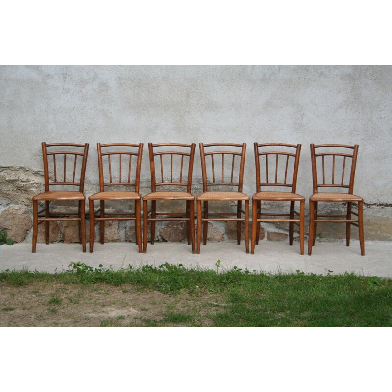 Set of 6 vintage french chairs in cane 1930