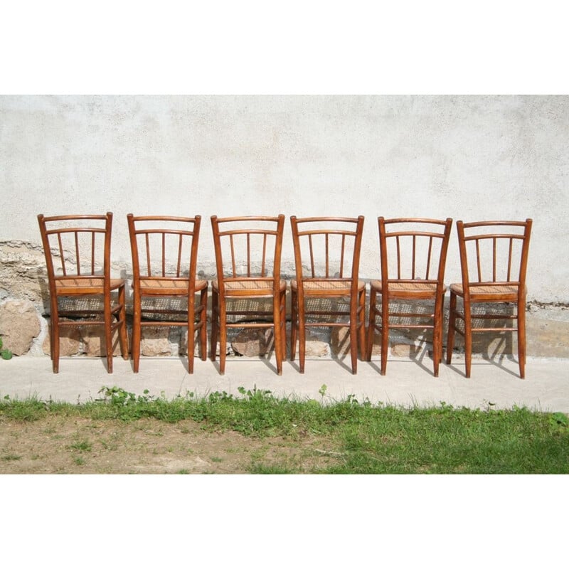 Set of 6 vintage french chairs in cane 1930