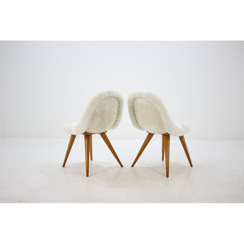 Ensemble de 4 chaises vintage Shell Miroslav Navratil des années 1960