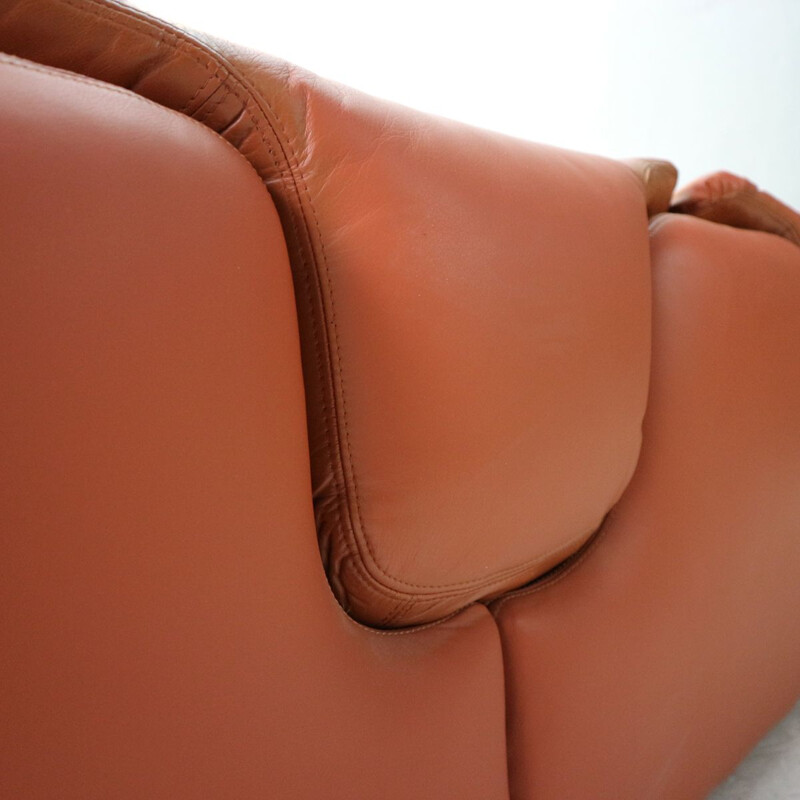 Vintage Confidential sofa for Saporiti in brown leather and steel 1970