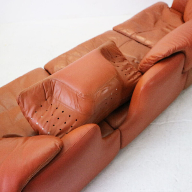 Vintage Confidential sofa for Saporiti in brown leather and steel 1970