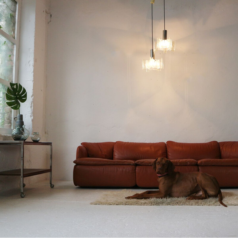 Vintage Confidential sofa for Saporiti in brown leather and steel 1970