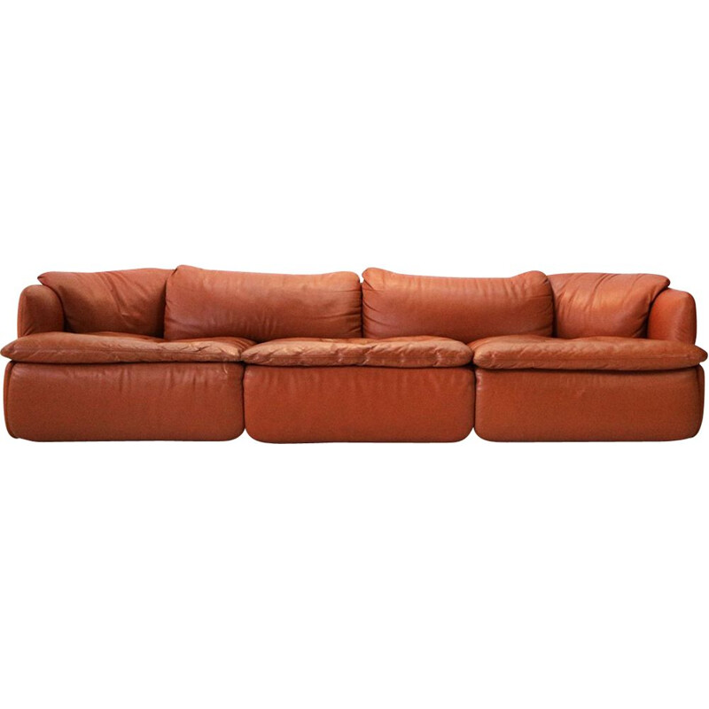 Vintage Confidential sofa for Saporiti in brown leather and steel 1970