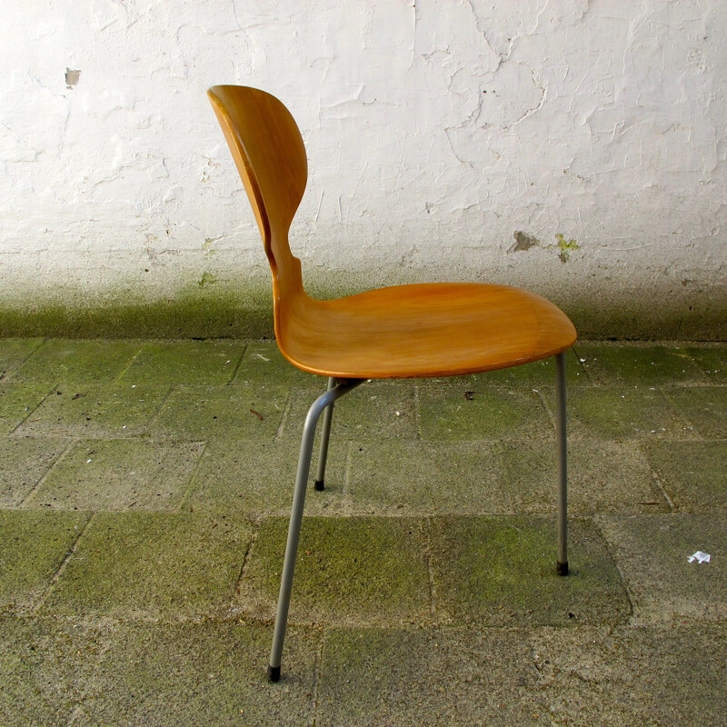 Beech and steel Fritz Hansen chair, Arne JACOBSEN - 1952