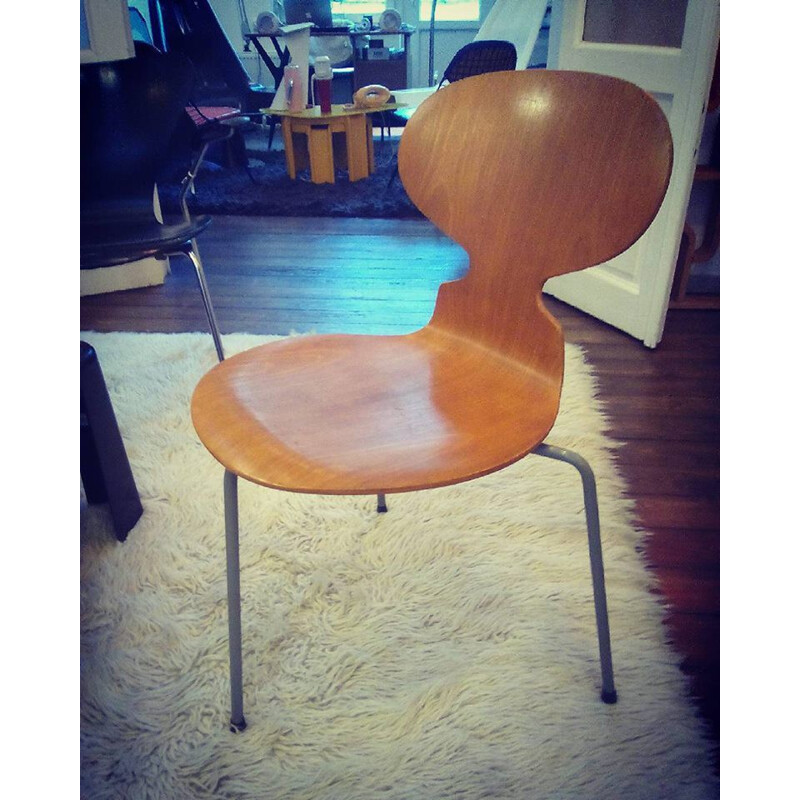 Beech and steel Fritz Hansen chair, Arne JACOBSEN - 1952