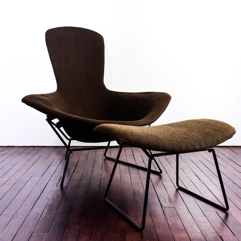 Brown Bird Chair and ottoman for Knoll International 1950