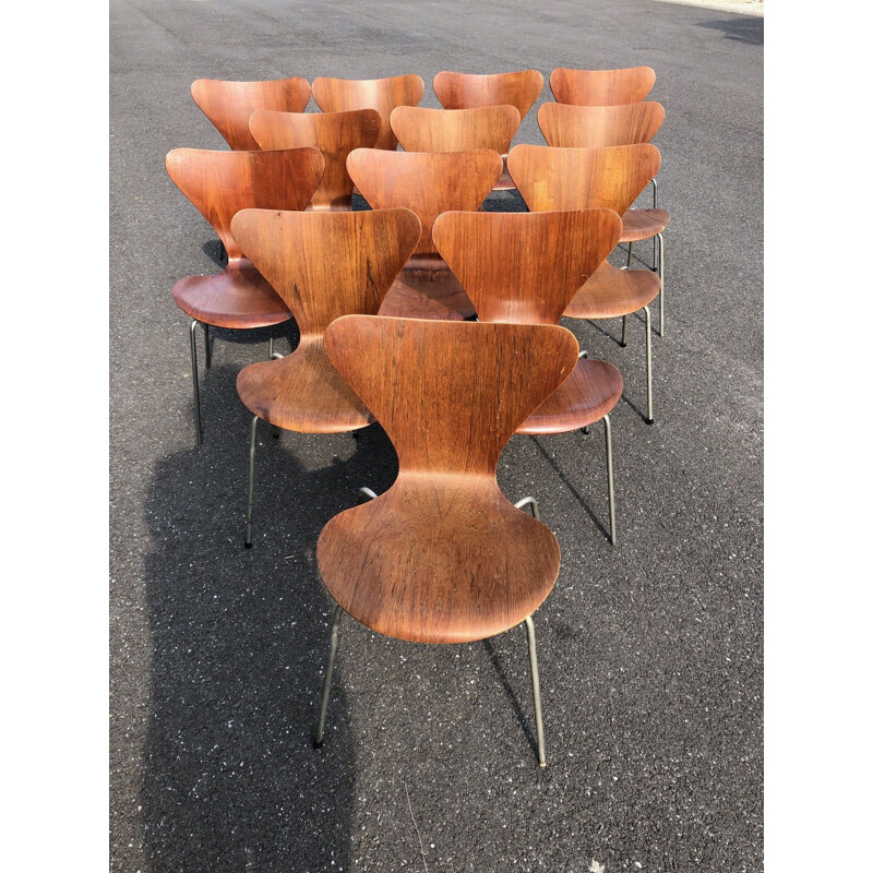 Ensemble de 13 chaises vintage 3107 série 7 par Arne Jacobsen