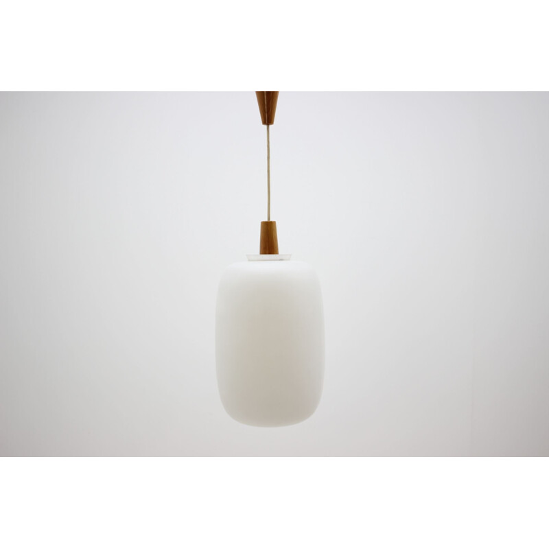 Vintage pendant light by Uluv, Czechoslovakia,1960 