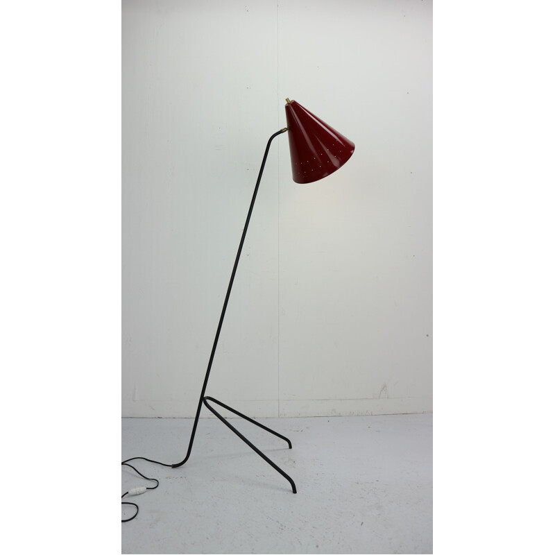 Vintage grasshopper floor lamp by W. Hagoort for Hagoort