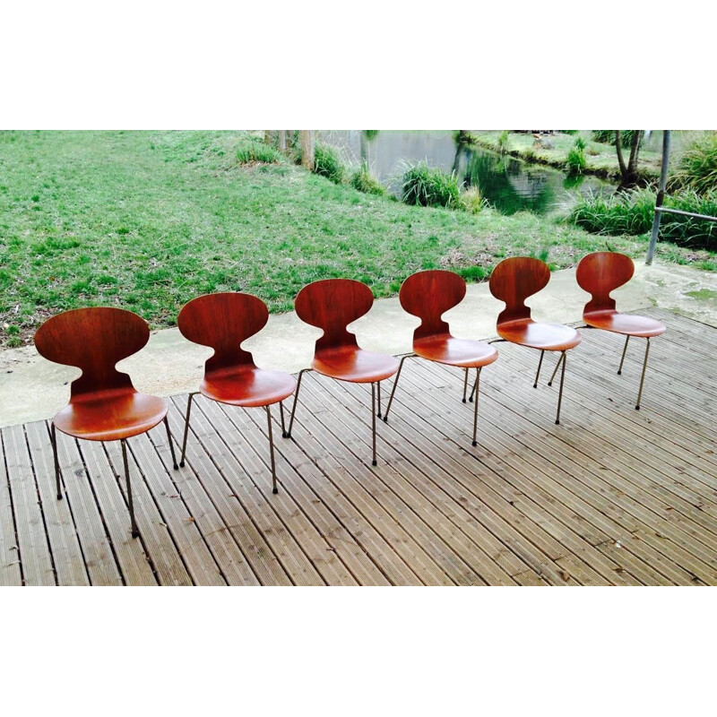 Set of 6 vintage teak chairs by Arne Jacobsen for Fritz Hansen 1950