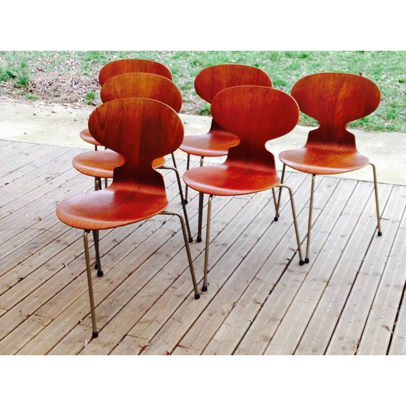 Set of 6 vintage teak chairs by Arne Jacobsen for Fritz Hansen 1950