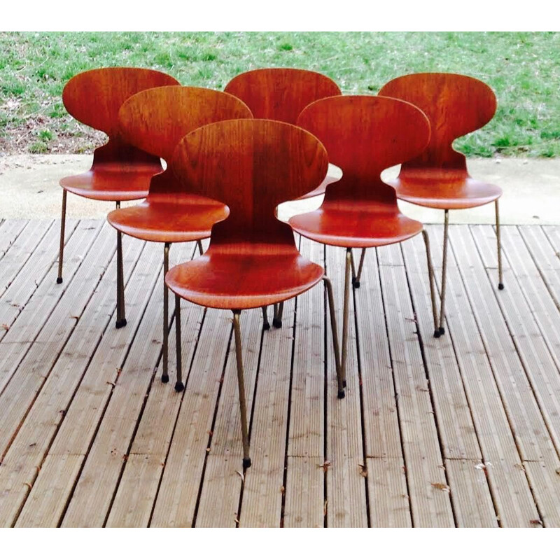 Set of 6 vintage teak chairs by Arne Jacobsen for Fritz Hansen 1950