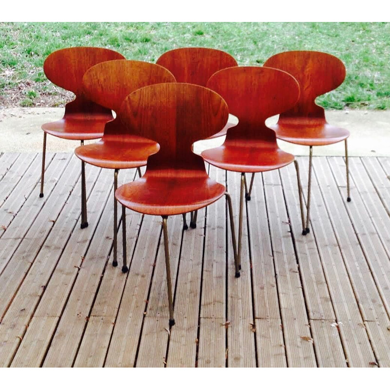 Suite de 6 chaises vintage en teck par Arne Jacobsen pour Fritz Hansen 1950
