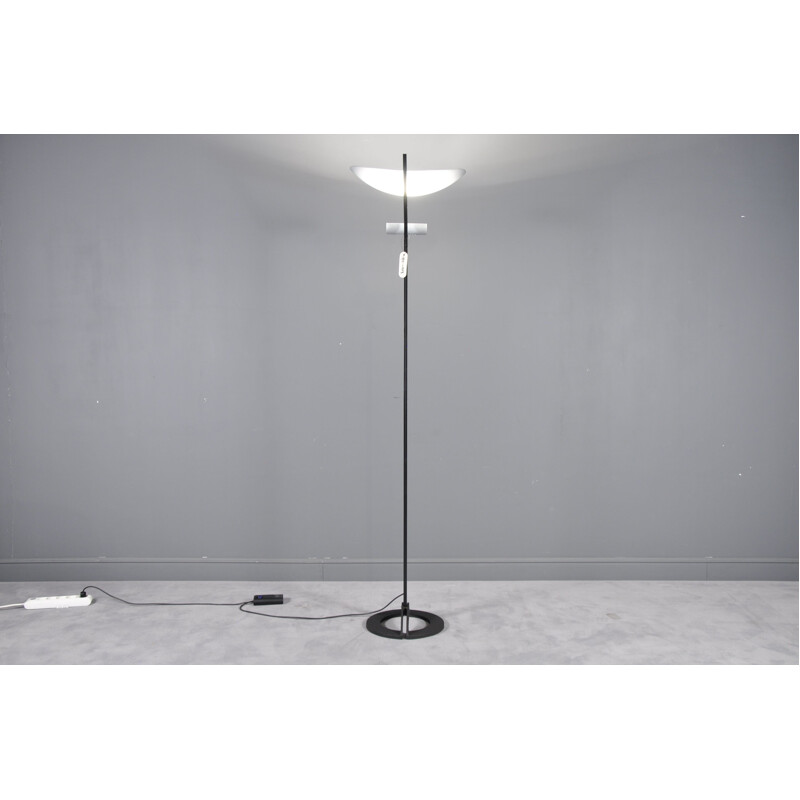 Zen floor lamp by Artemide