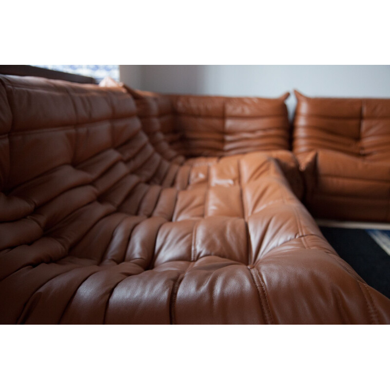 Ligne Roset by Michel Ducaroy Togo Brown Leather Modular Sofa, Set