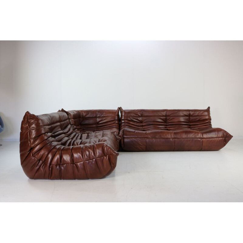 Vintage living room set Togo in brown leather by Michel Ducaroy for Ligne Roset