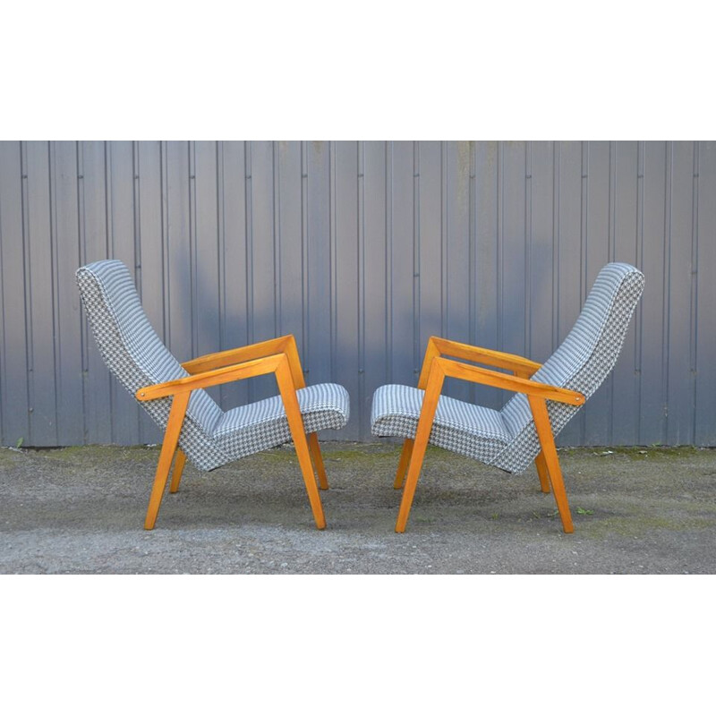 2 vintage Lounge Chairs by Lygija Marija Stapulionienė,1960