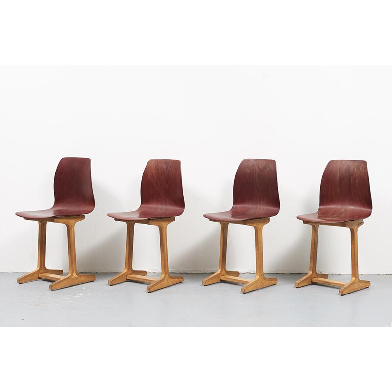 Ensemble de 4 chaises vintage en hêtre par Adam Stegner 1960