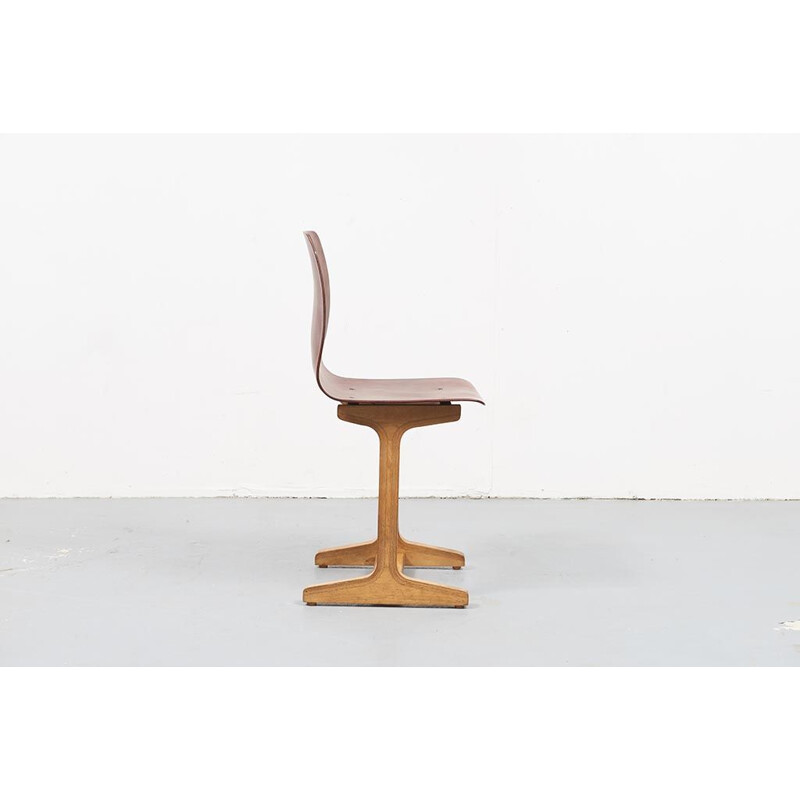 Ensemble de 4 chaises vintage en hêtre par Adam Stegner 1960