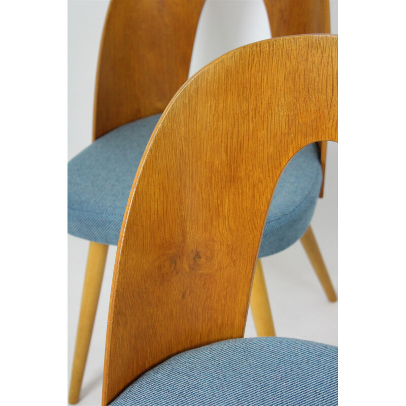 Set of 4 vintage chairs for Tatra in bent plywood and blue fabric 1960