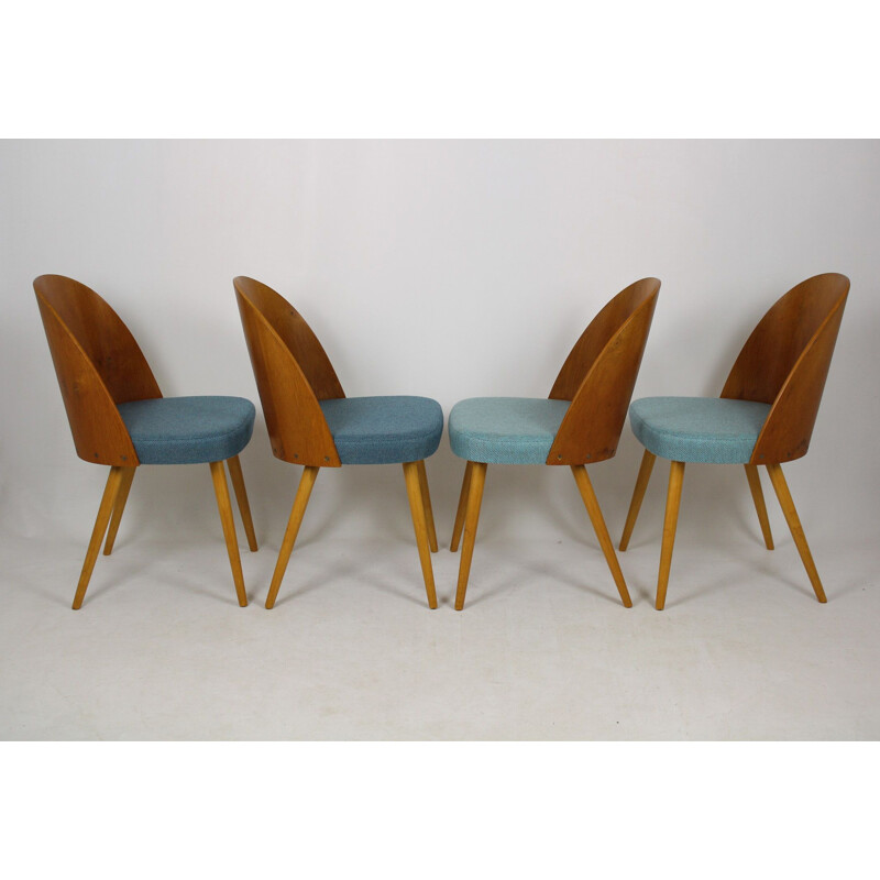 Set of 4 vintage chairs for Tatra in bent plywood and blue fabric 1960