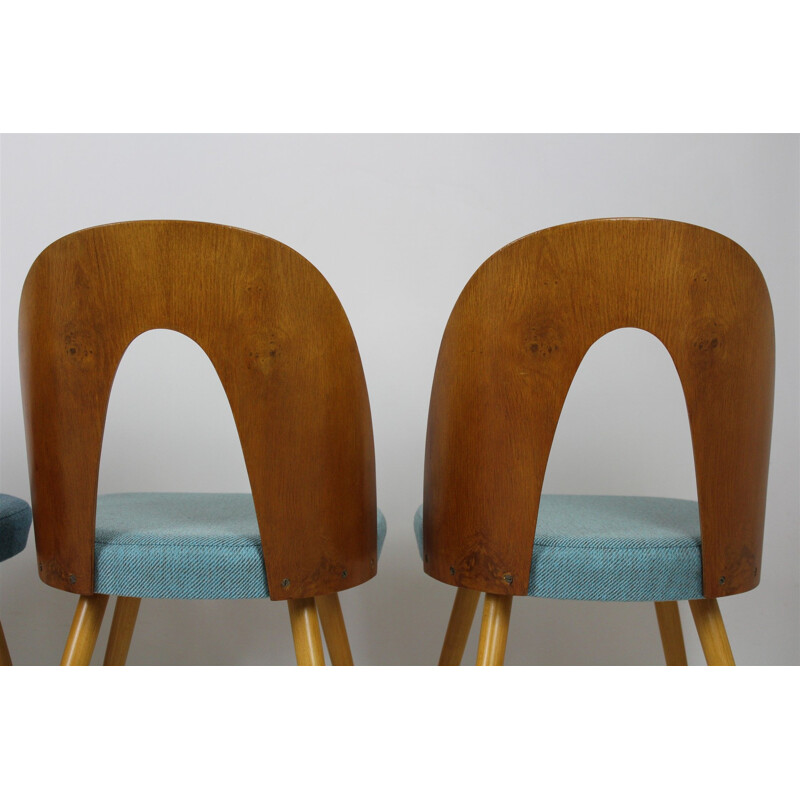 Set of 4 vintage chairs for Tatra in bent plywood and blue fabric 1960