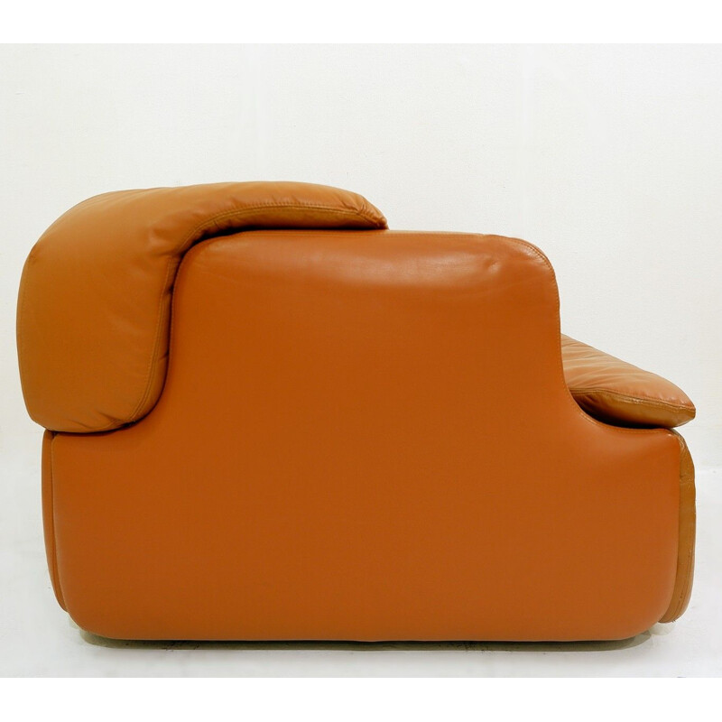 Paire de fauteuils vintage de Alberto Rosselli pour Saporiti 1970s