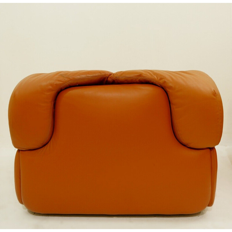 Paire de fauteuils vintage de Alberto Rosselli pour Saporiti 1970s
