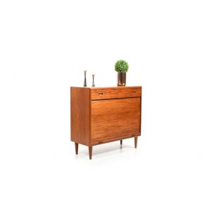 Vintage Danish shoe cabinet in teak