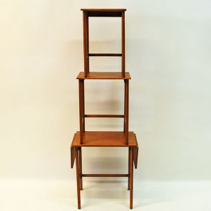 Vintage nesting tables in teak 1950s