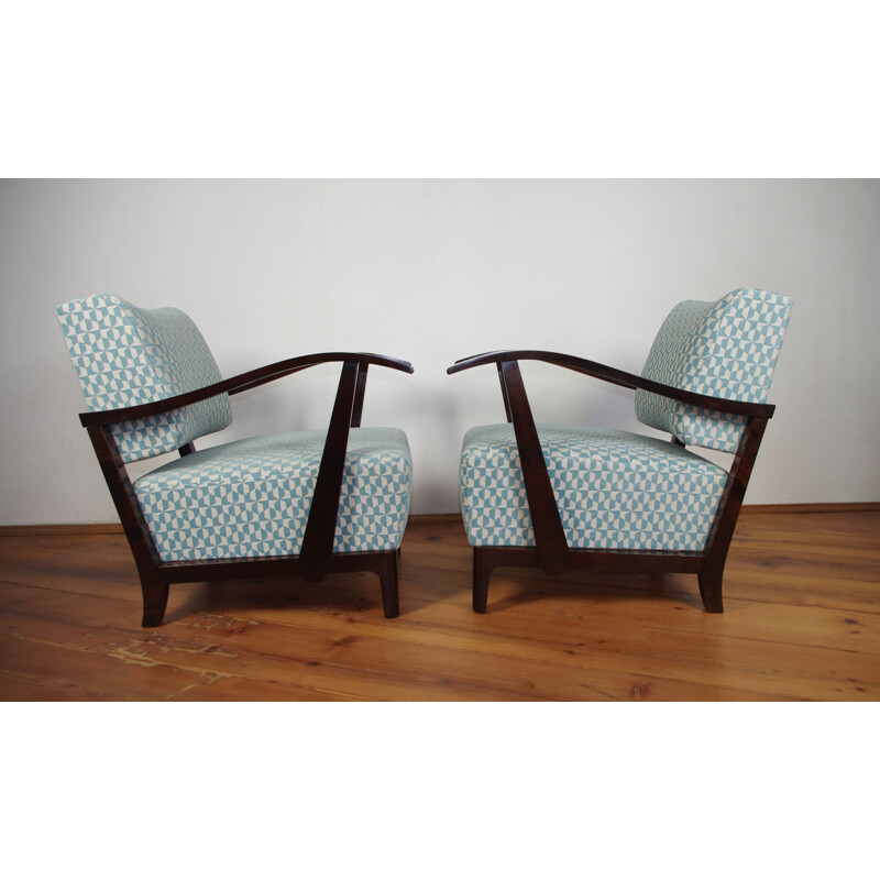 Set of 2 vintage armchairs 1920s