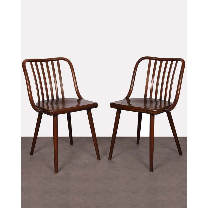 Pair of vintage chairs by Ton 1960 