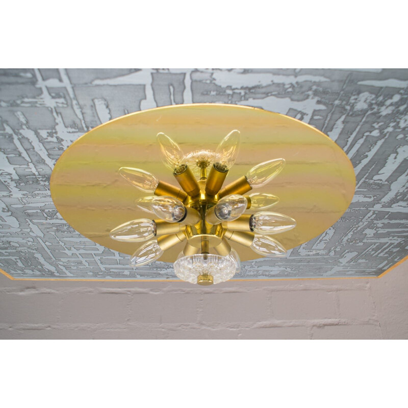 Vintage floral glass wall and ceiling Lamp