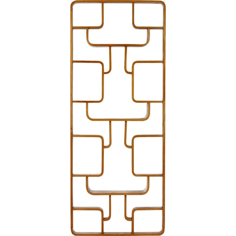 Claustra vintage pour Drevopodnik Holesov en chêne et contreplaqué 1960