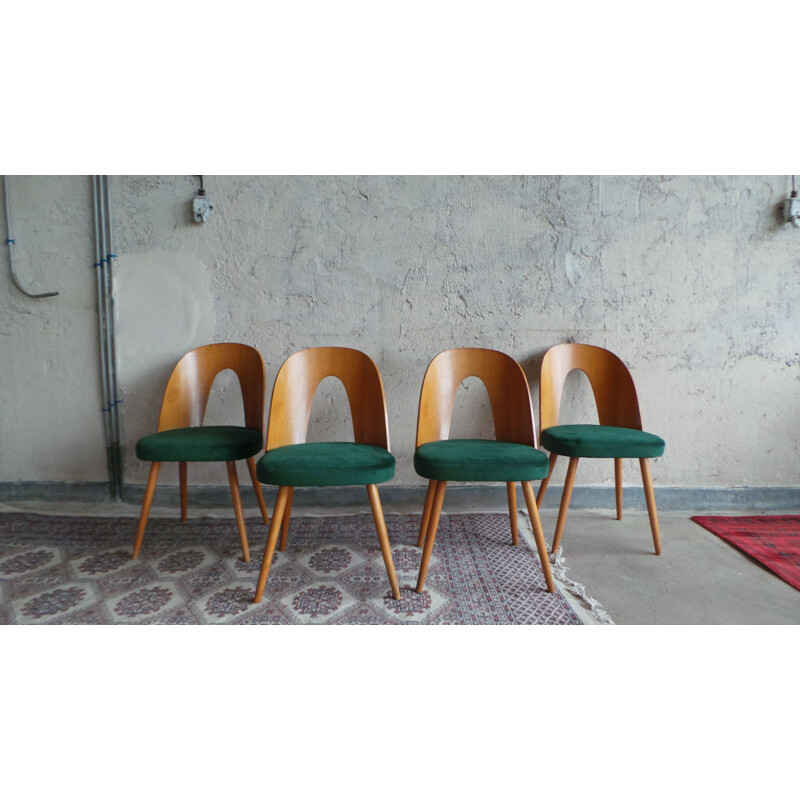 Set of 4 vintage dining chairs in plywood and ash by Antonín Šuman for Tatra Nabytok, 1960s