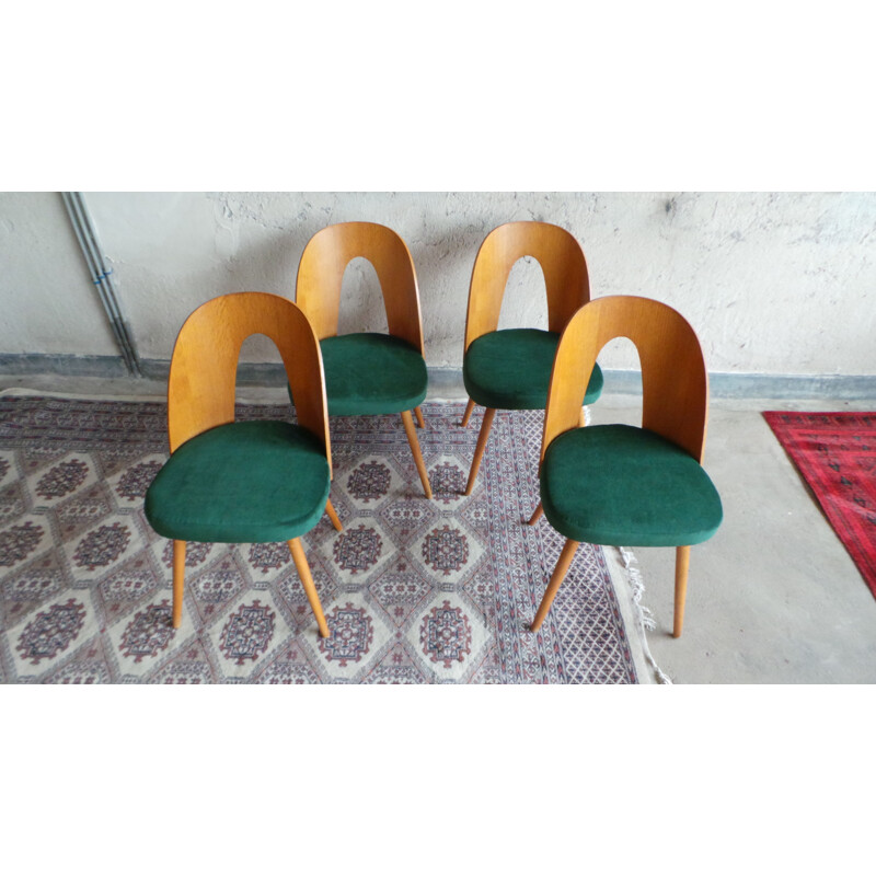 Set of 4 vintage dining chairs in plywood and ash by Antonín Šuman for Tatra Nabytok, 1960s