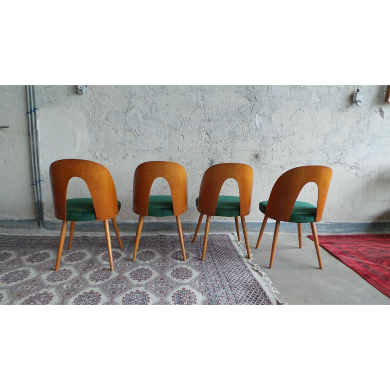 Set of 4 vintage dining chairs in plywood and ash by Antonín Šuman for Tatra Nabytok, 1960s