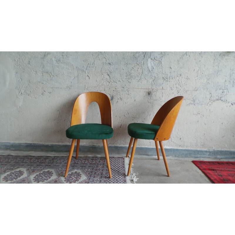 Set of 4 vintage dining chairs in plywood and ash by Antonín Šuman for Tatra Nabytok, 1960s