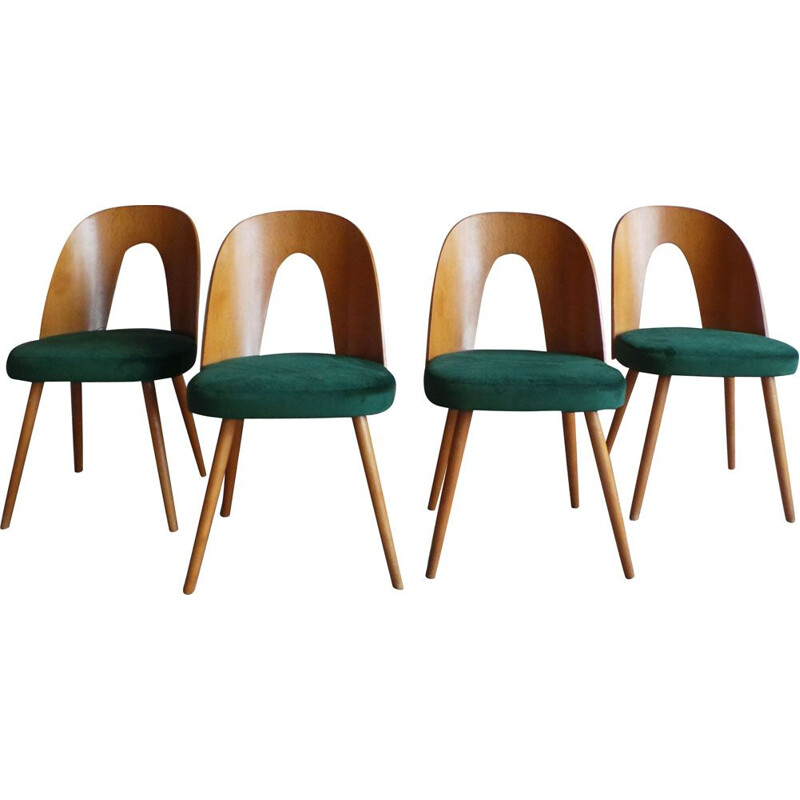 Set of 4 vintage dining chairs in plywood and ash by Antonín Šuman for Tatra Nabytok, 1960s