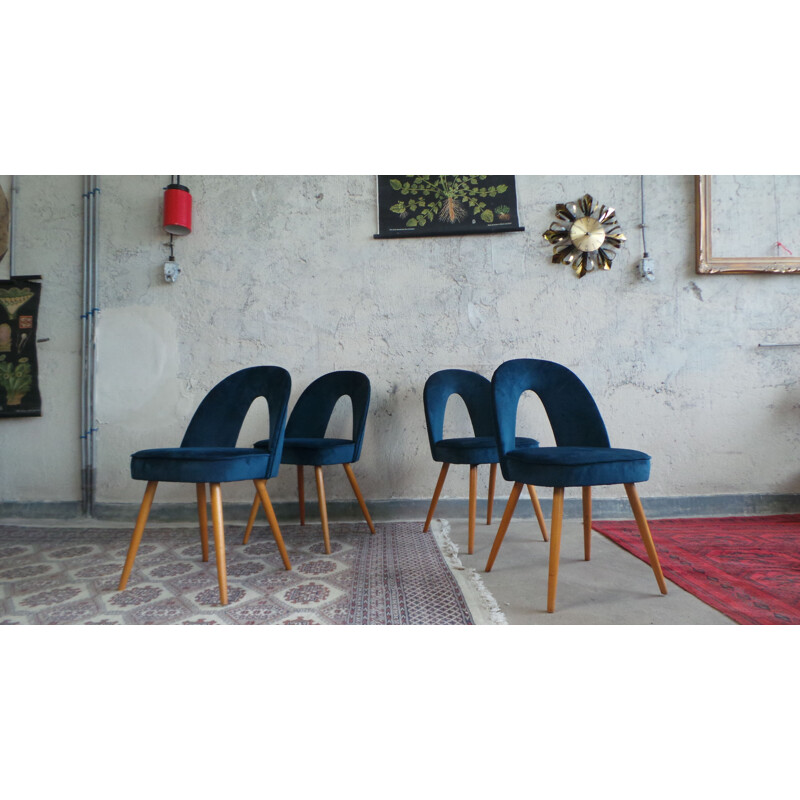 Set of 4 chairs in blue velvet by Antonin Suman for Tatra Nabytok