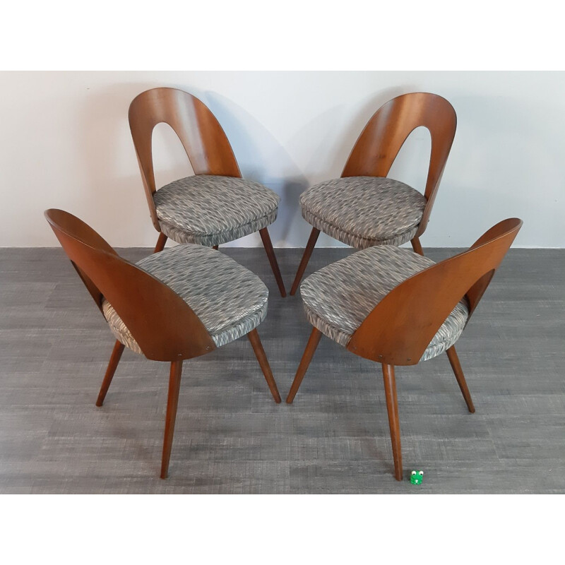 Set of 4 vintage dining chairs by Antonin Suman for MIER,Czechoslovakia,1960