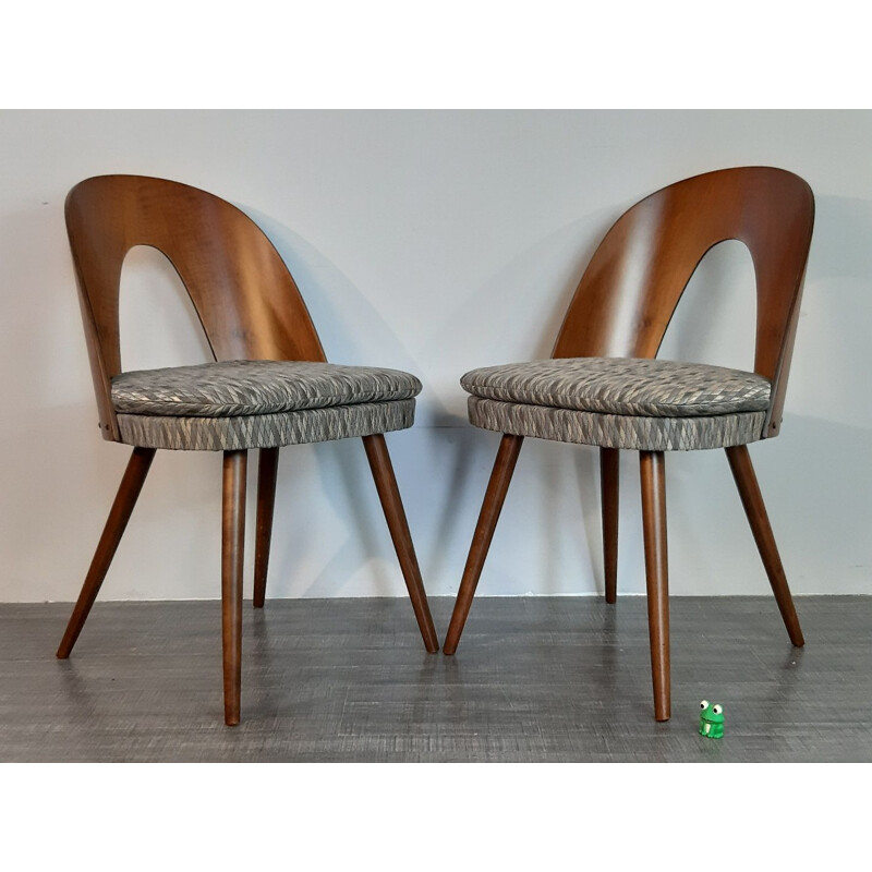 Set of 4 vintage dining chairs by Antonin Suman for MIER,Czechoslovakia,1960