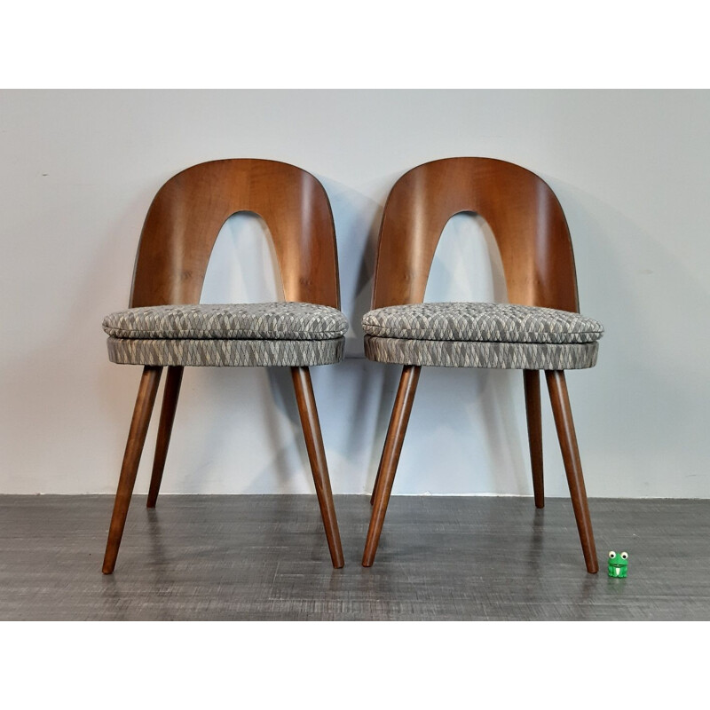 Set of 4 vintage dining chairs by Antonin Suman for MIER,Czechoslovakia,1960