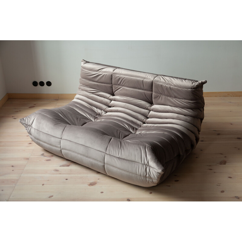 Togo 2-seater sofa in grey velvet by Michel Ducaroy
